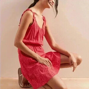 Banana Republic Ruffle Fit- And- Flare Dress